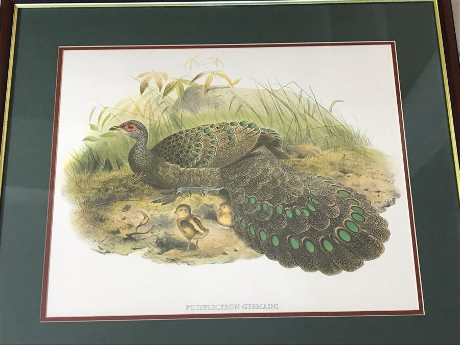 Pair Of Framed Bird Prints Each 27' X 23' [Photo 8]