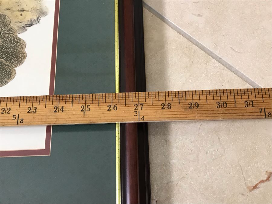 Pair Of Framed Bird Prints Each 27' X 23' [Photo 13]