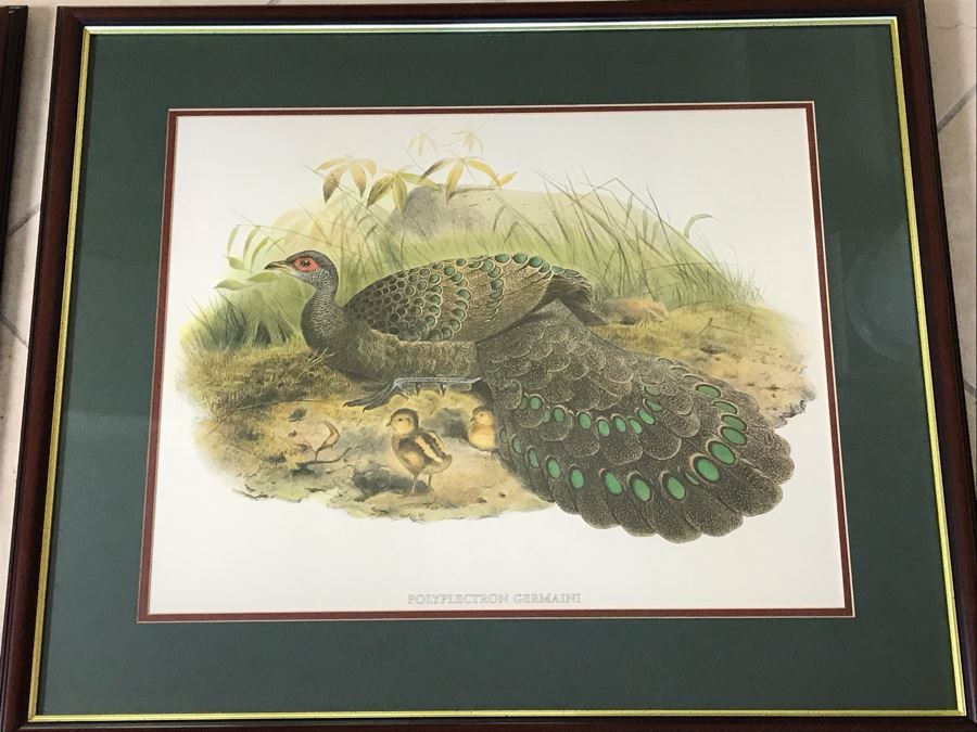 Pair Of Framed Bird Prints Each 27' X 23' [Photo 7]