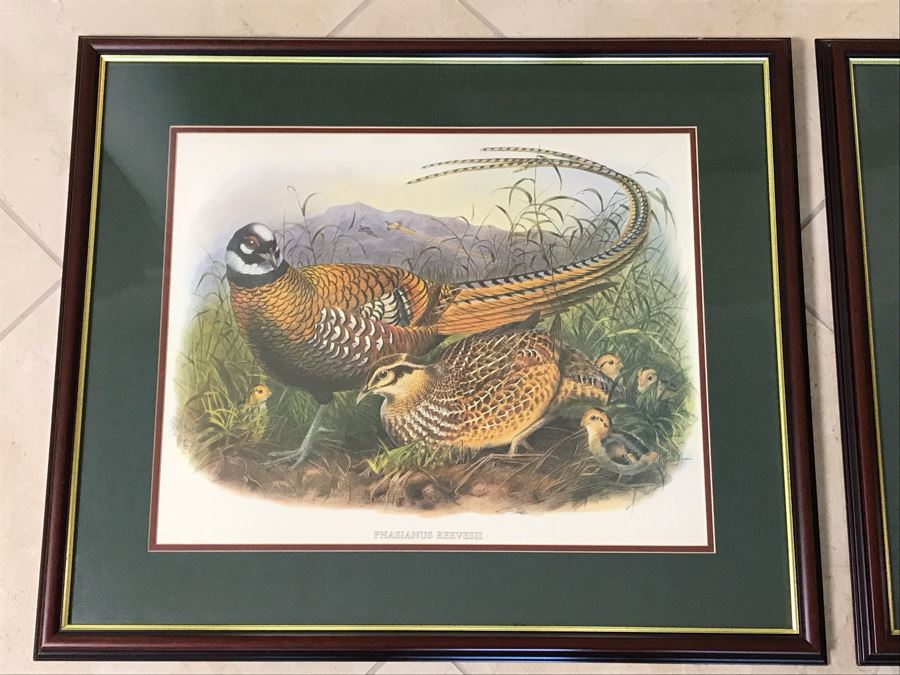 Pair Of Framed Bird Prints Each 27' X 23' [Photo 2]