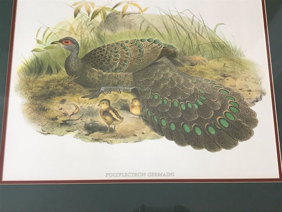 Pair Of Framed Bird Prints Each 27' X 23' [Photo 9]