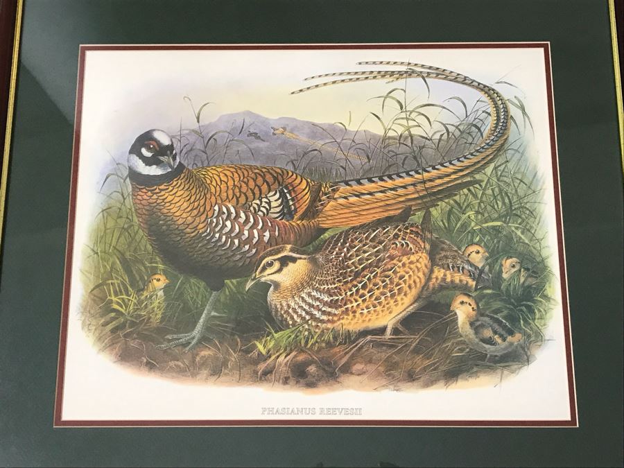 Pair Of Framed Bird Prints Each 27' X 23' [Photo 3]