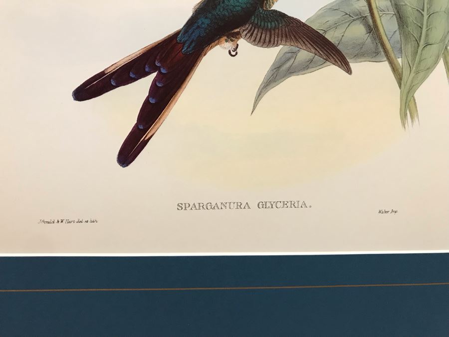 Pair Of Matted Bird Prints [Photo 3]