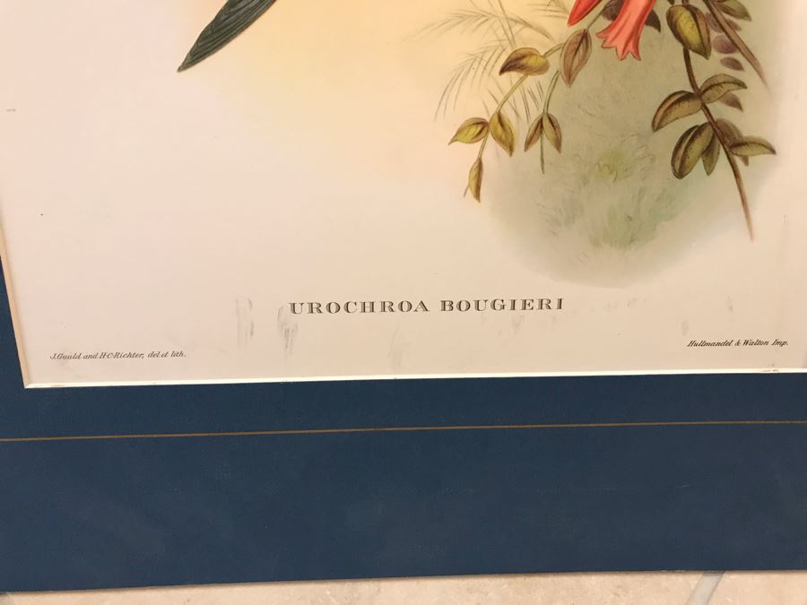 Pair Of Matted Bird Prints [Photo 6]