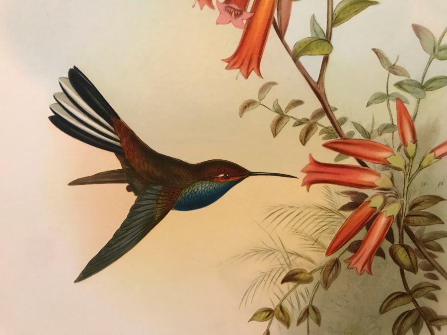 Pair Of Matted Bird Prints [Photo 5]