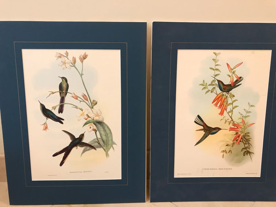 Pair Of Matted Bird Prints [Photo 1]