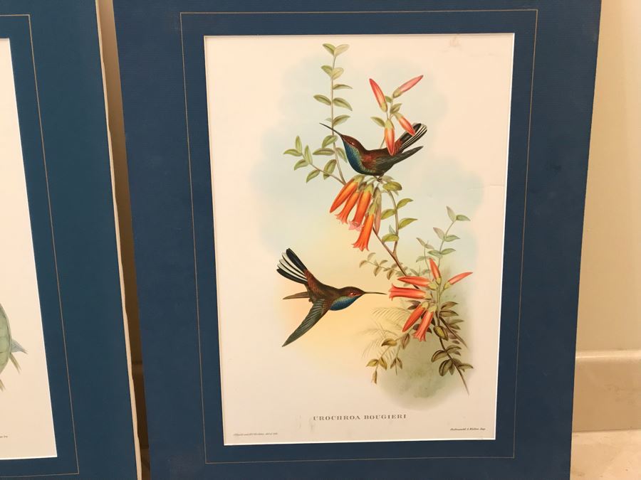 Pair Of Matted Bird Prints [Photo 4]