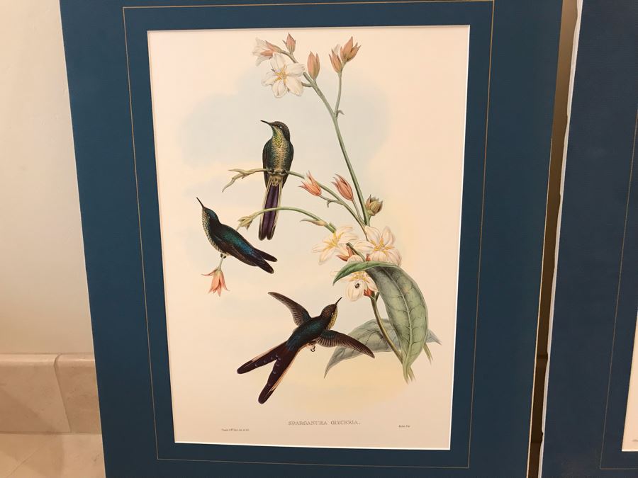 Pair Of Matted Bird Prints [Photo 2]