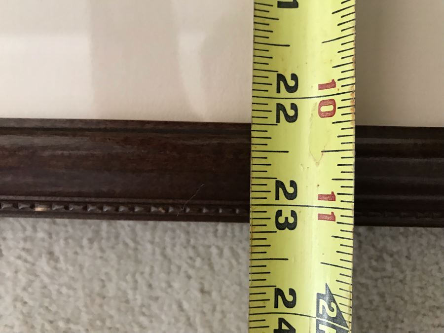 Pair Of Framed Bird Prints 27' X 38' And 31' X 23' [Photo 9]