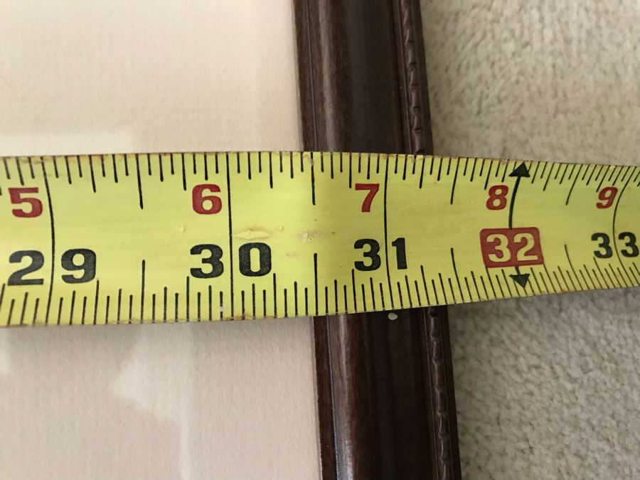 Pair Of Framed Bird Prints 27' X 38' And 31' X 23' [Photo 8]