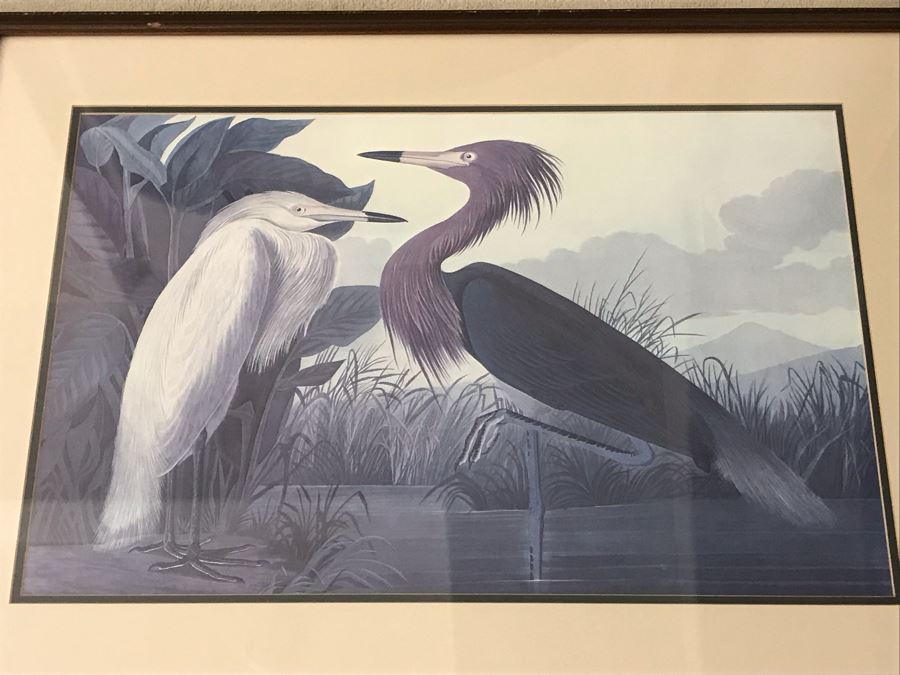 Pair Of Framed Bird Prints 27' X 38' And 31' X 23' [Photo 5]