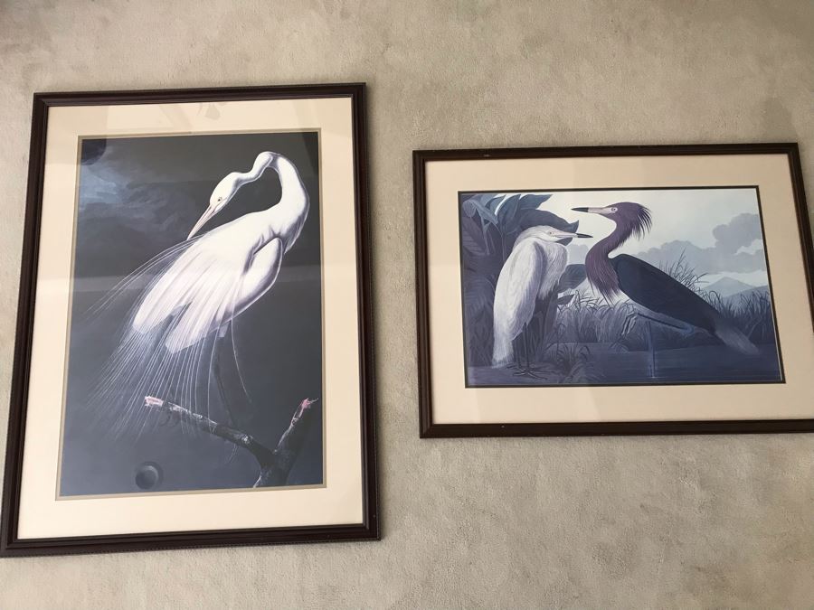 Pair Of Framed Bird Prints 27' X 38' And 31' X 23' [Photo 1]