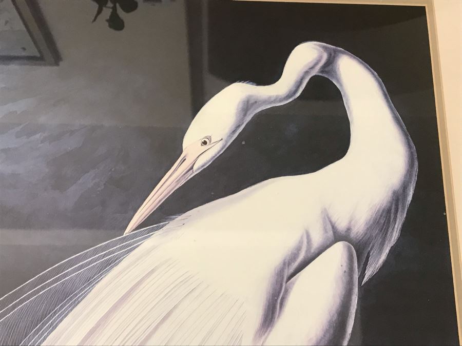 Pair Of Framed Bird Prints 27' X 38' And 31' X 23' [Photo 4]