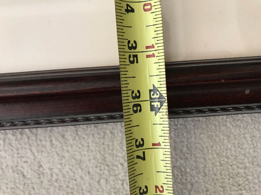 Pair Of Framed Bird Prints 27' X 38' And 31' X 23' [Photo 2]