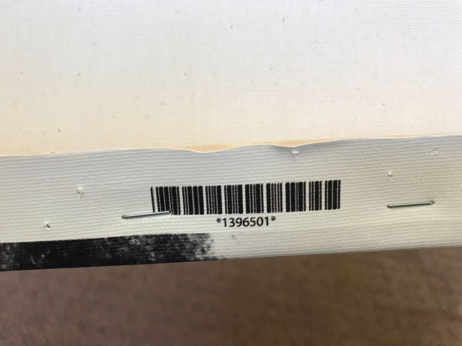 Canvas Photographic Print Of Hotel Del Coronado [Photo 11]