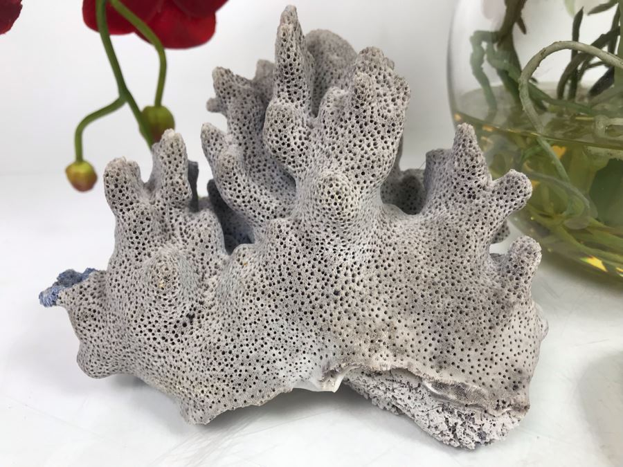 Faux Orchid Flower Arrangement, Cloisonne Egg With Stand, Organic Coral Sculpture, Hand Painted Rock And Shell-Craft Heart Dish [Photo 5]