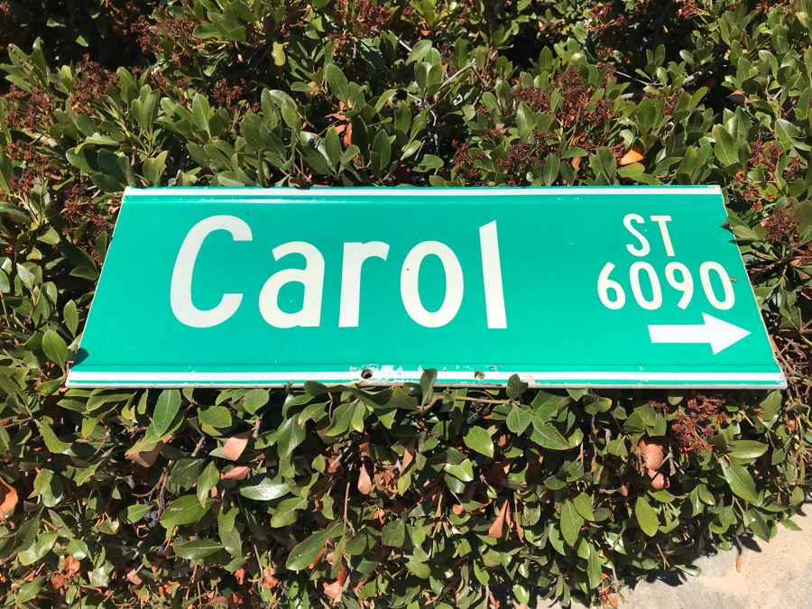Green City Street Road Sign 'Carol St 6090' 24' X 9' [Photo 1]