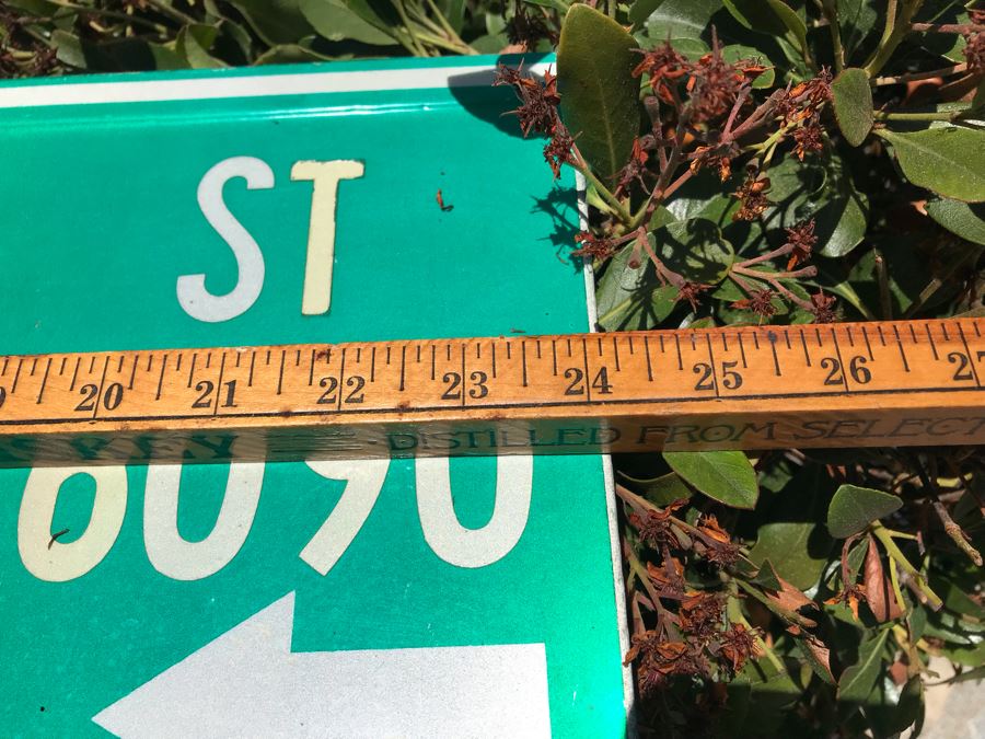 Green City Street Road Sign 'Carol St 6090' 24' X 9' [Photo 4]