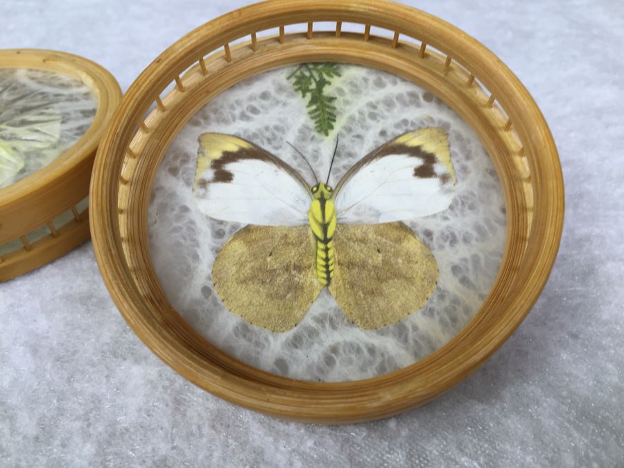 Butterfly Tray And (6) Drink Coaster Collection Plus (6) Shell Drink Coasters [Photo 12]