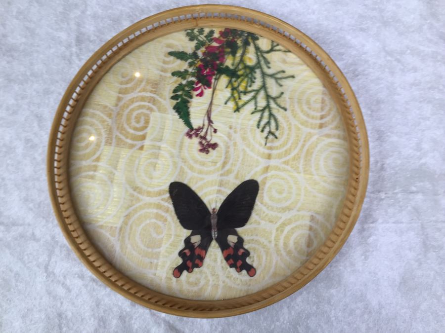 Butterfly Tray And (6) Drink Coaster Collection Plus (6) Shell Drink Coasters [Photo 4]