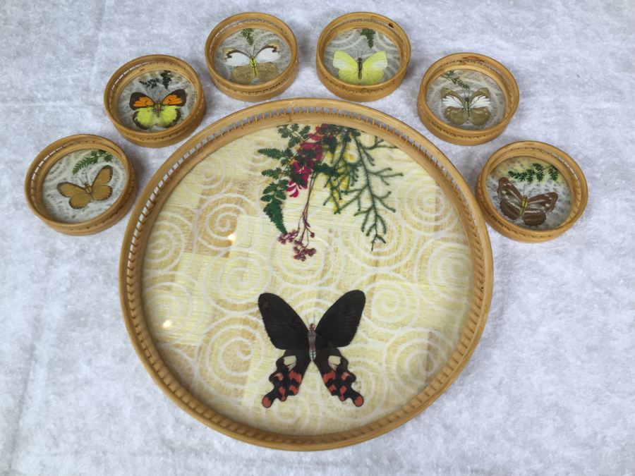 Butterfly Tray And (6) Drink Coaster Collection Plus (6) Shell Drink Coasters [Photo 3]