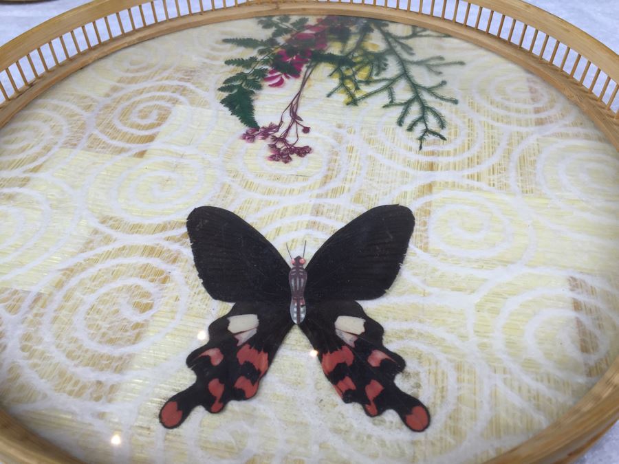 Butterfly Tray And (6) Drink Coaster Collection Plus (6) Shell Drink Coasters [Photo 6]