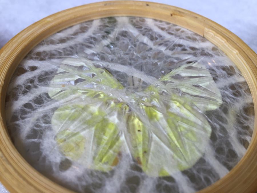 Butterfly Tray And (6) Drink Coaster Collection Plus (6) Shell Drink Coasters [Photo 11]