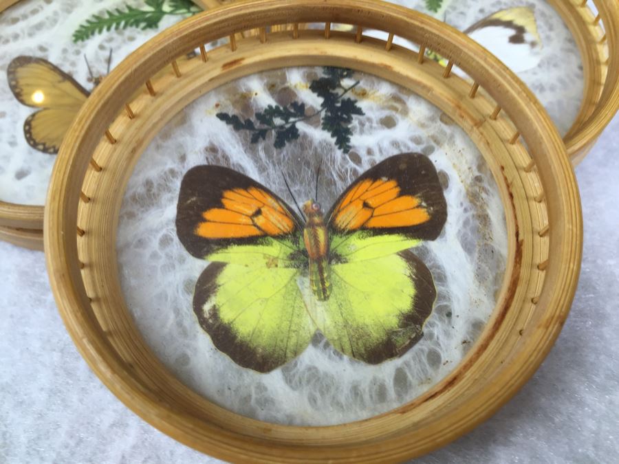 Butterfly Tray And (6) Drink Coaster Collection Plus (6) Shell Drink Coasters [Photo 14]