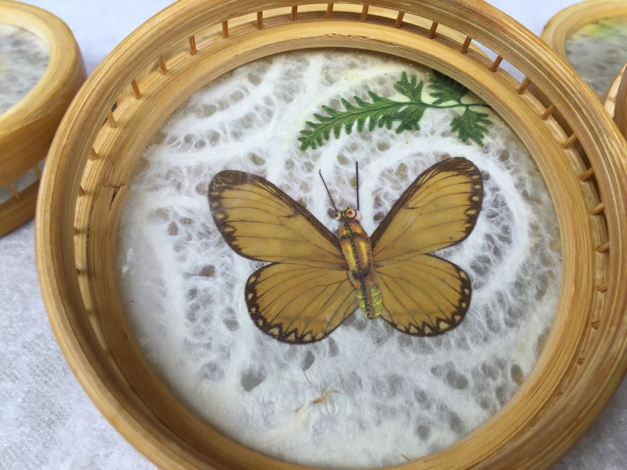 Butterfly Tray And (6) Drink Coaster Collection Plus (6) Shell Drink Coasters [Photo 13]
