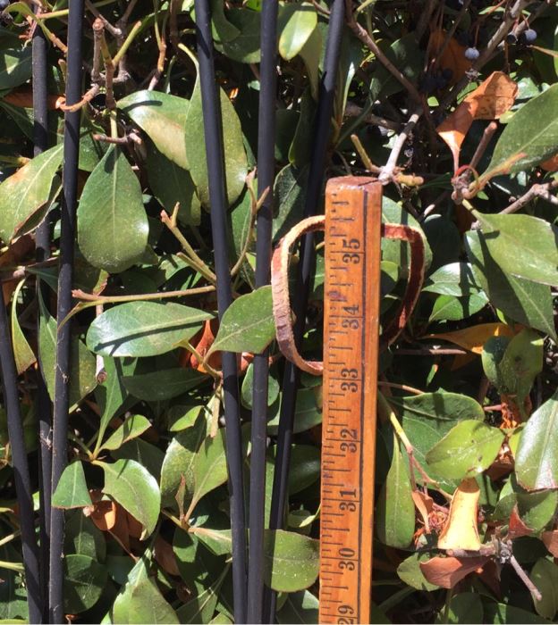 (5) Freestanding Metal Tiki Torches [Photo 5]