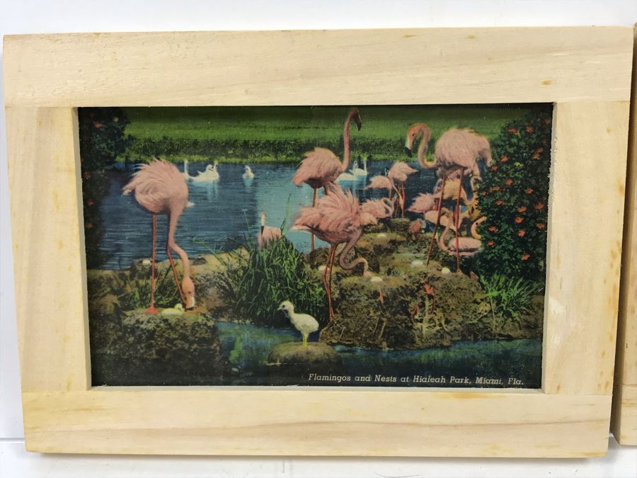 (4) Vintage 1978 Flamingo Ceramic Cups Signed Drell And (3) Framed Vintage Flamingo Postcards [Photo 9]