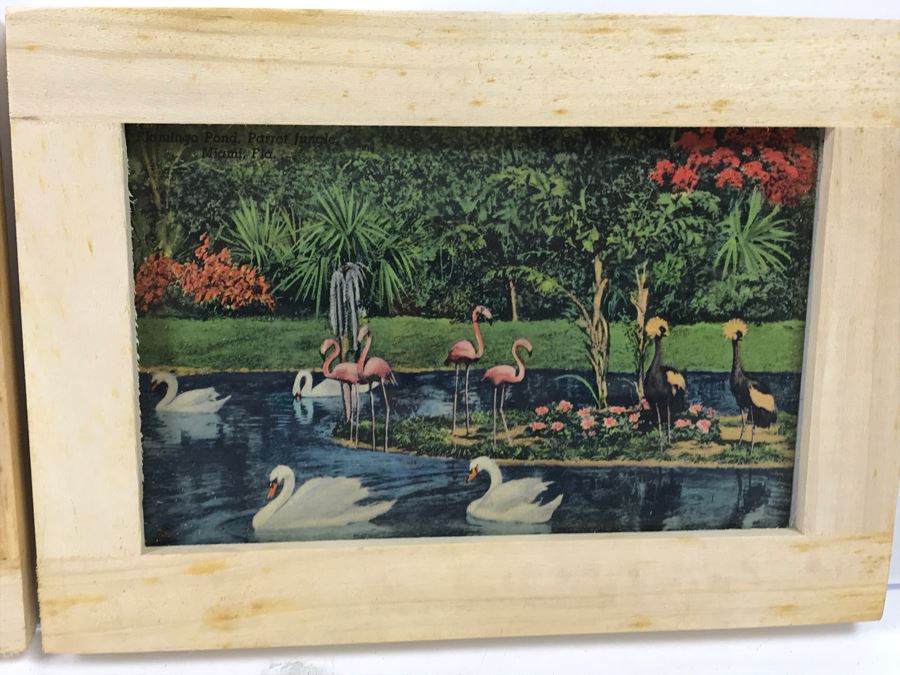 (4) Vintage 1978 Flamingo Ceramic Cups Signed Drell And (3) Framed Vintage Flamingo Postcards [Photo 10]