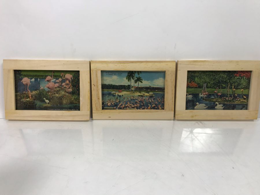 (4) Vintage 1978 Flamingo Ceramic Cups Signed Drell And (3) Framed Vintage Flamingo Postcards [Photo 7]