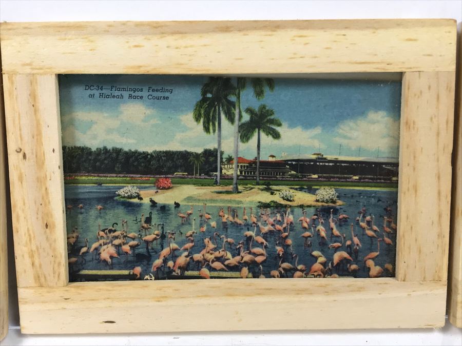 (4) Vintage 1978 Flamingo Ceramic Cups Signed Drell And (3) Framed Vintage Flamingo Postcards [Photo 8]