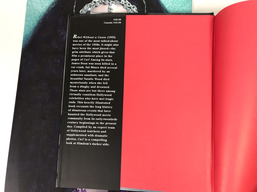 Cher D2K Concert Tour Book 2014 And Cut! Book Of Hollywood Murders, Accidents, And Other Tragedies - Weird Combo [Photo 9]