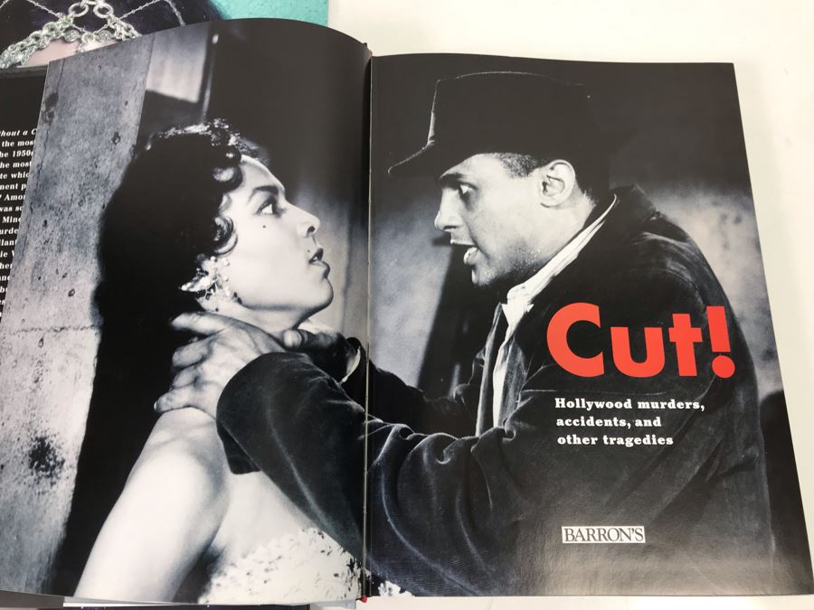 Cher D2K Concert Tour Book 2014 And Cut! Book Of Hollywood Murders, Accidents, And Other Tragedies - Weird Combo [Photo 10]