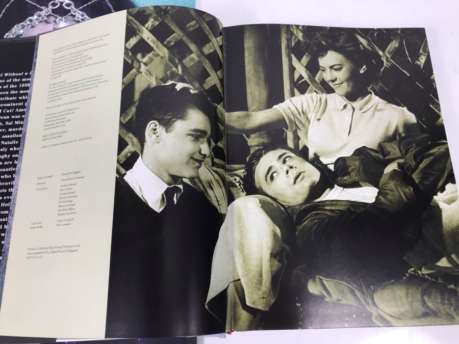 Cher D2K Concert Tour Book 2014 And Cut! Book Of Hollywood Murders, Accidents, And Other Tragedies - Weird Combo [Photo 11]