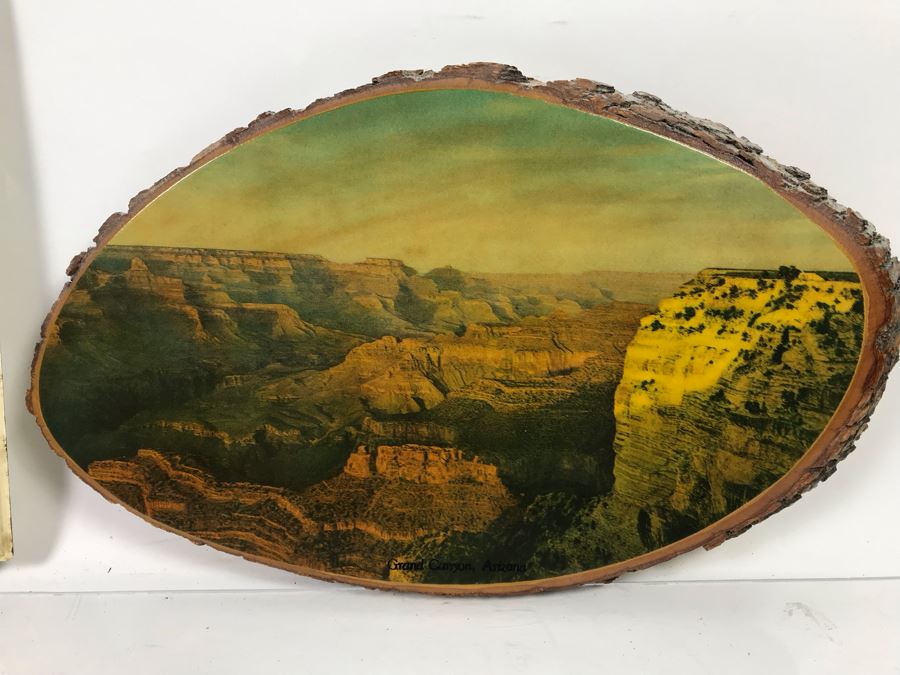 Vintage Grand Canyon, Arizona Tree Trunk With Print And Vintage Metal Advertising Thermometer East Brunswick, New Jersey [Photo 2]