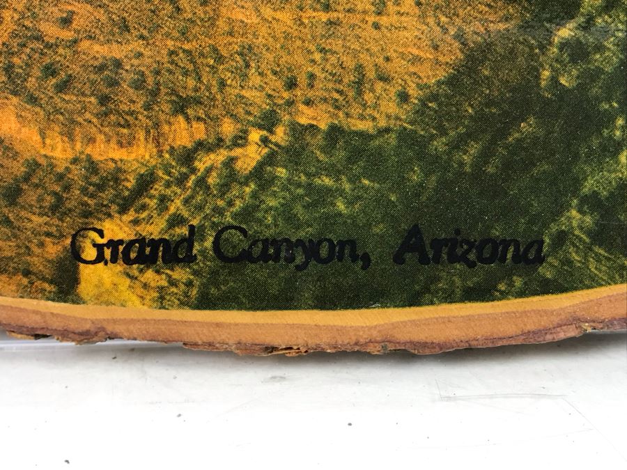 Vintage Grand Canyon, Arizona Tree Trunk With Print And Vintage Metal Advertising Thermometer East Brunswick, New Jersey [Photo 4]