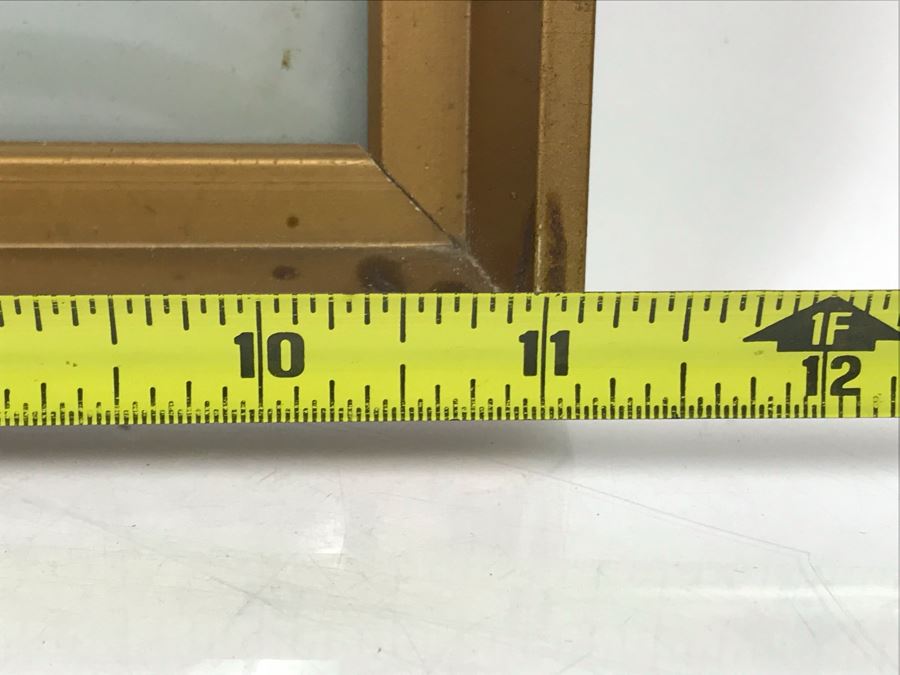 Shadowbox Bubble Glass Butterfly Display 11' X 21' [Photo 8]