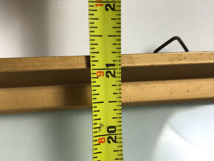 Shadowbox Bubble Glass Butterfly Display 11' X 21' [Photo 9]