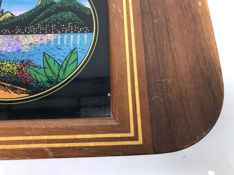Stunning Rio De Janeiro Inlaid Buttery Glass And Wooden Handled Tray 20' X 13' [Photo 5]