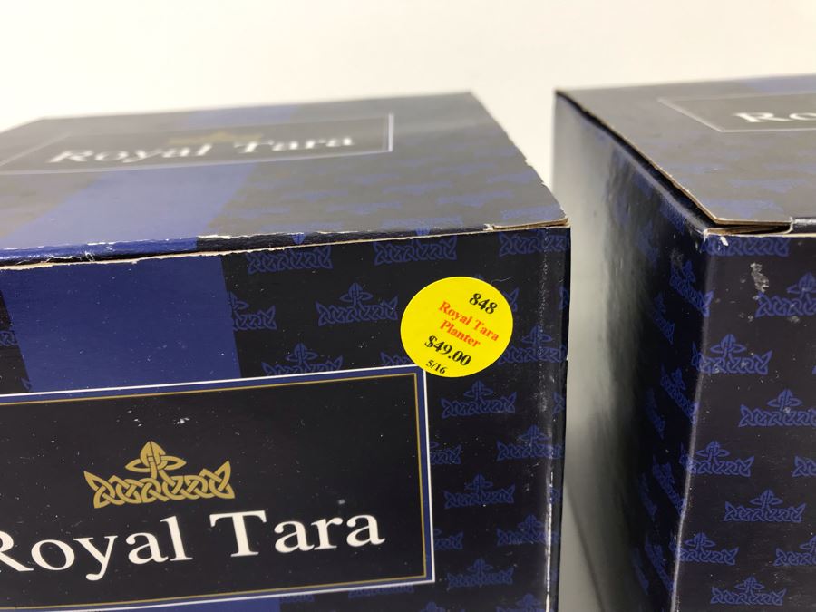 (3) New Royal Tara Fine Bone China Ireland Pieces (2) Planters And (1) Irish Harp - Trellis Shamrock Retails $137 [Photo 9]