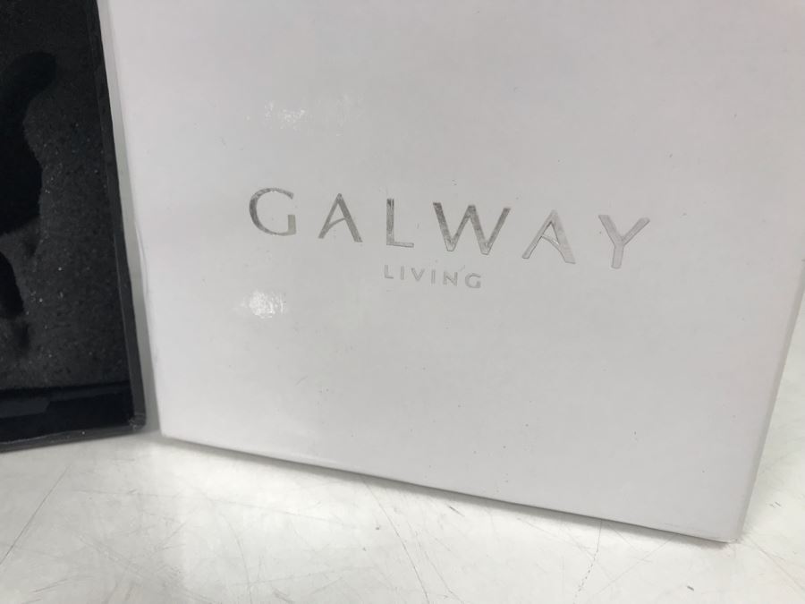 New Galway Irish Crystal Living Figurines: Sitting Cat And Sitting Dog  Retails $75 [Photo 8]