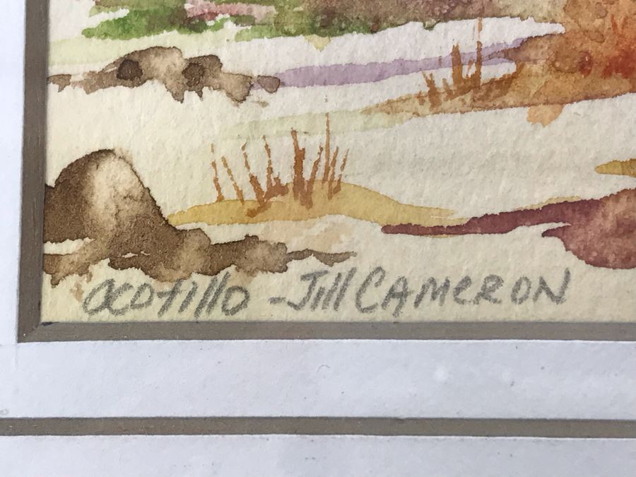 Framed Original Signed Watercolor Painting By Jillian Cameron Of Joshua Tree National Park 9' X 11' [Photo 5]