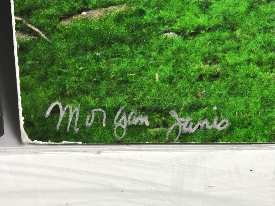 Pair Of Irish Photographs On Boards - One Of Right Is Signed By Photographer Morgan Janis [Photo 6]