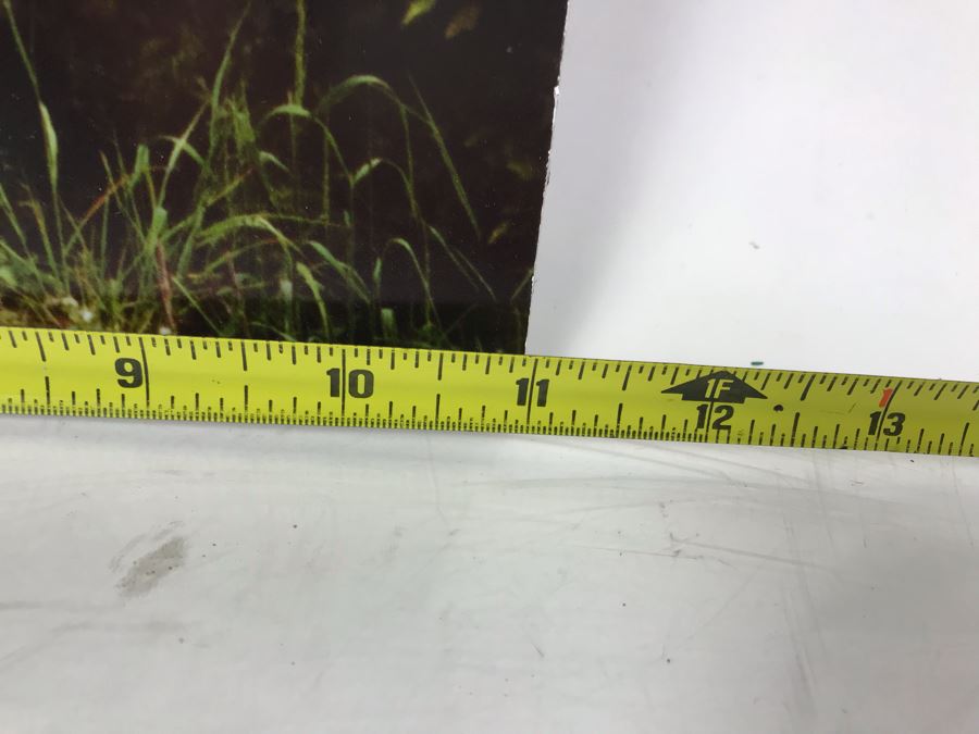 Pair Of Irish Photographs On Boards - One Of Right Is Signed By Photographer Morgan Janis [Photo 13]