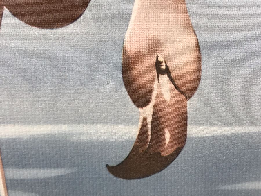 Vintage 1950's Pink Framed Flamingo Print By Turner Manufacturing Co 33' X 27' [Photo 9]