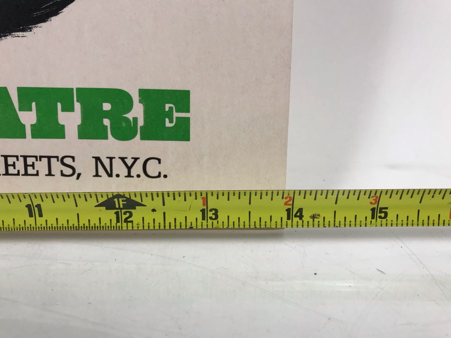 P.S. Your Cat Is Dead! James Kirkwood Cardboard Theatre Poster Promenade Theatre 2162 Broadway 14' X 22' [Photo 8]