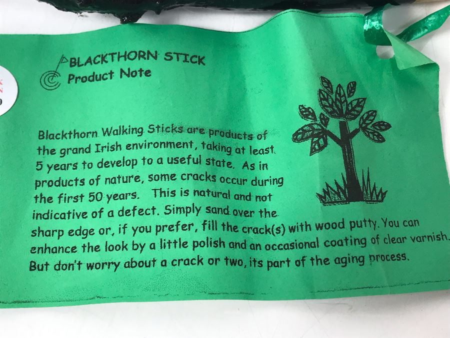 Pair Of Irish Blackthorn Walking Sticks - Similar Gifted To JFK And Ronald Reagan Retails $118 [Photo 10]